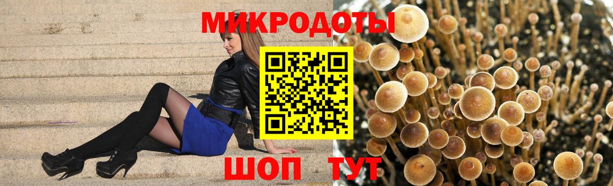 Псилоцибиновые грибы GOLDEN TEACHER Кисловодск