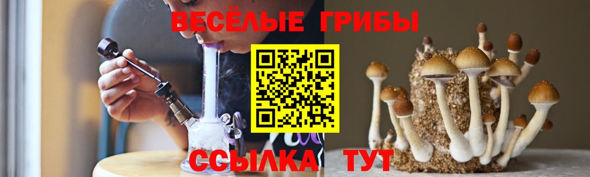 Галлюциногенные грибы MAGIC MUSHROOMS  Вход с VPN  как найти наркотики  Кисловодск 